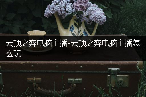 云顶之弈电脑主播-云顶之弈电脑主播怎么玩