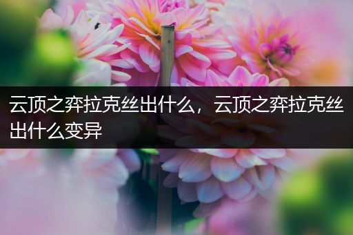 云顶之弈拉克丝出什么，云顶之弈拉克丝出什么变异