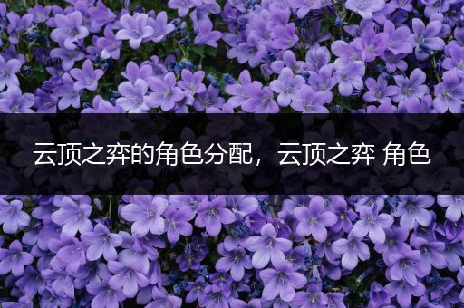 云顶之弈的角色分配，云顶之弈 角色