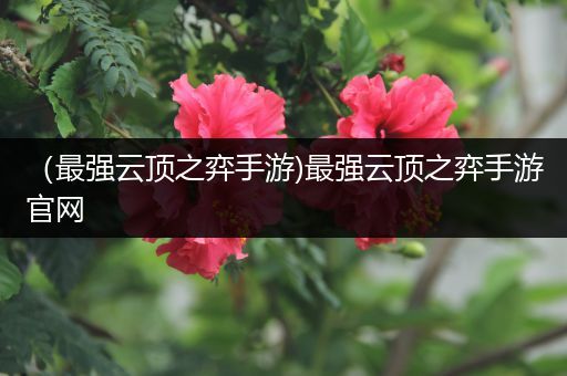 （最强云顶之弈手游)最强云顶之弈手游官网