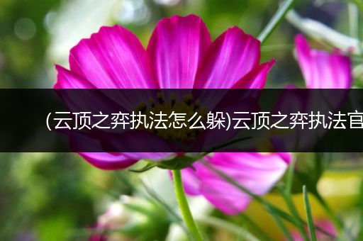 （云顶之弈执法怎么躲)云顶之弈执法官