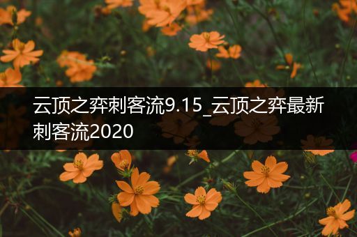 云顶之弈刺客流9.15_云顶之弈最新刺客流2020