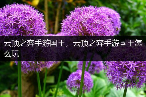 云顶之弈手游国王，云顶之弈手游国王怎么玩