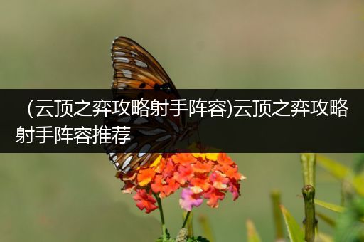 （云顶之弈攻略射手阵容)云顶之弈攻略射手阵容推荐