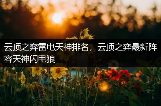 云顶之弈雷电天神排名，云顶之弈最新阵容天神闪电狼