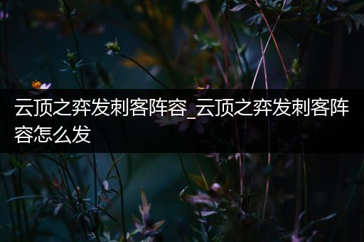 云顶之弈发刺客阵容_云顶之弈发刺客阵容怎么发