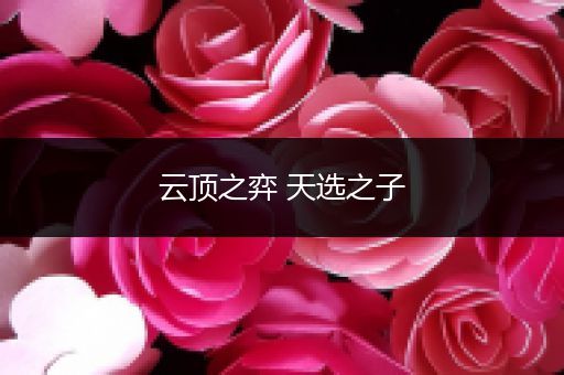 云顶之弈 天选之子