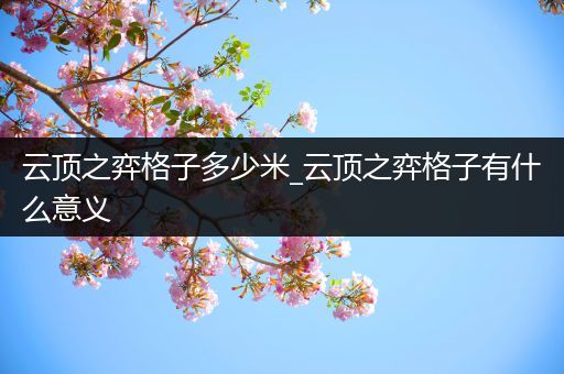 云顶之弈格子多少米_云顶之弈格子有什么意义