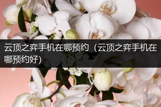 云顶之弈手机在哪预约（云顶之弈手机在哪预约好）