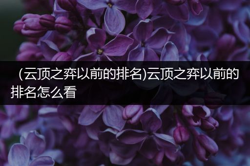 （云顶之弈以前的排名)云顶之弈以前的排名怎么看