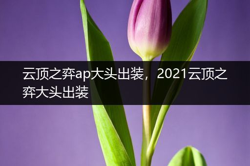 云顶之弈ap大头出装，2021云顶之弈大头出装