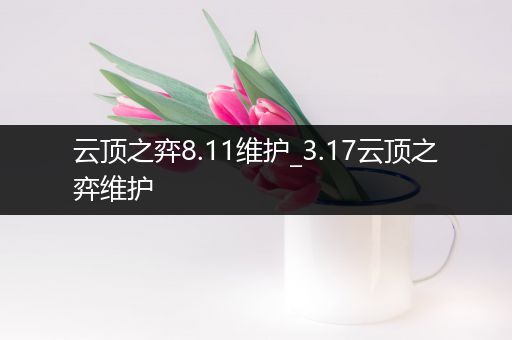 云顶之弈8.11维护_3.17云顶之弈维护