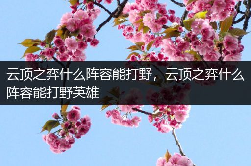 云顶之弈什么阵容能打野，云顶之弈什么阵容能打野英雄