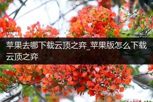 苹果去哪下载云顶之弈_苹果版怎么下载云顶之弈