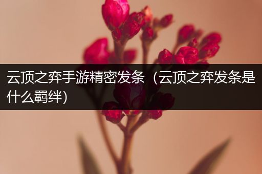 云顶之弈手游精密发条（云顶之弈发条是什么羁绊）