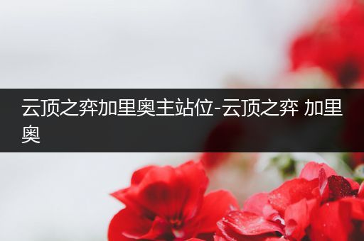 云顶之弈加里奥主站位-云顶之弈 加里奥