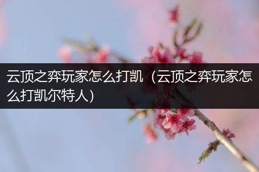 云顶之弈玩家怎么打凯（云顶之弈玩家怎么打凯尔特人）