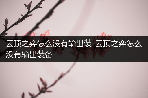 云顶之弈怎么没有输出装-云顶之弈怎么没有输出装备