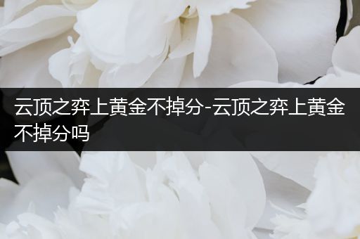 云顶之弈上黄金不掉分-云顶之弈上黄金不掉分吗