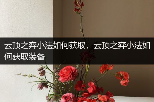 云顶之弈小法如何获取，云顶之弈小法如何获取装备