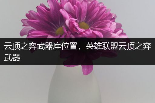 云顶之弈武器库位置，英雄联盟云顶之弈武器