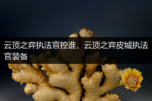 云顶之弈执法官控谁，云顶之弈皮城执法官装备