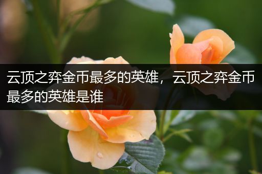 云顶之弈金币最多的英雄，云顶之弈金币最多的英雄是谁