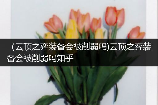 （云顶之弈装备会被削弱吗)云顶之弈装备会被削弱吗知乎