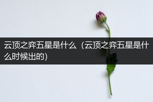云顶之弈五星是什么（云顶之弈五星是什么时候出的）