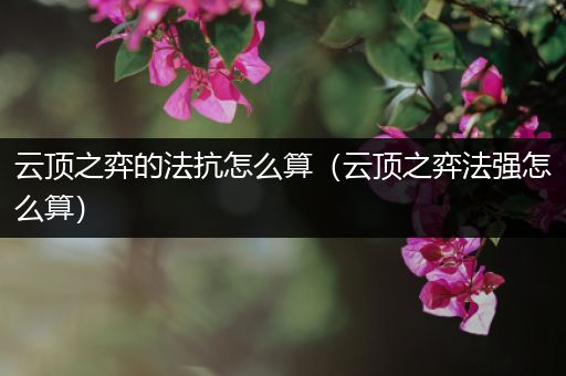 云顶之弈的法抗怎么算（云顶之弈法强怎么算）