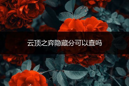 云顶之弈隐藏分可以查吗
