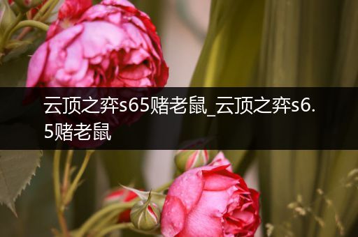 云顶之弈s65赌老鼠_云顶之弈s6.5赌老鼠