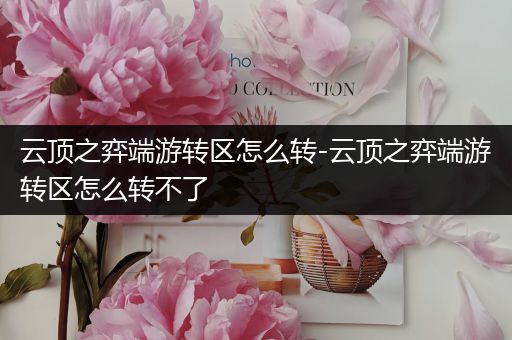 云顶之弈端游转区怎么转-云顶之弈端游转区怎么转不了