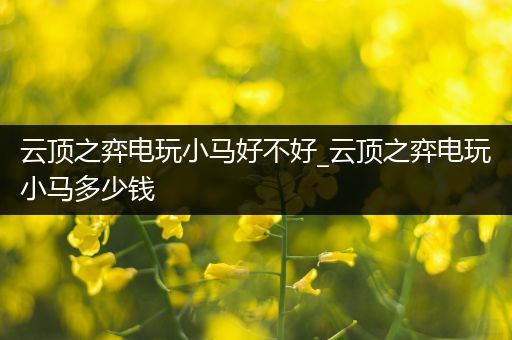 云顶之弈电玩小马好不好_云顶之弈电玩小马多少钱