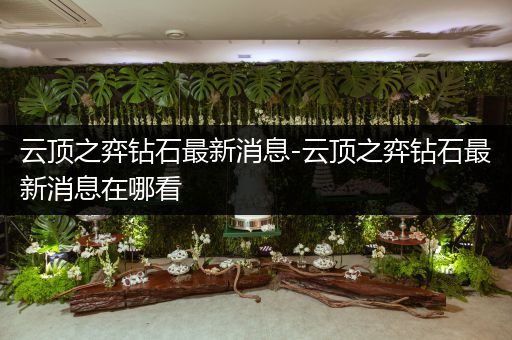 云顶之弈钻石最新消息-云顶之弈钻石最新消息在哪看