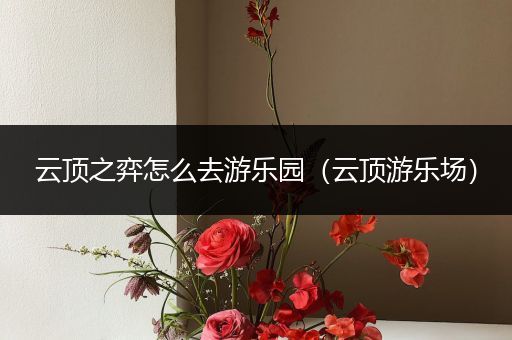 云顶之弈怎么去游乐园（云顶游乐场）