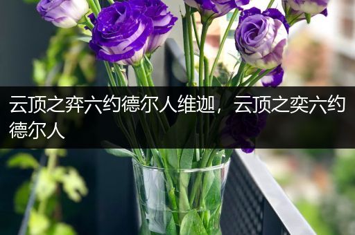 云顶之弈六约德尔人维迦，云顶之奕六约德尔人