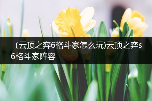（云顶之弈6格斗家怎么玩)云顶之弈s6格斗家阵容