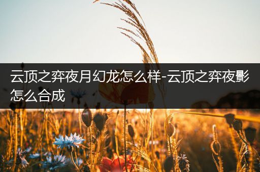 云顶之弈夜月幻龙怎么样-云顶之弈夜影怎么合成