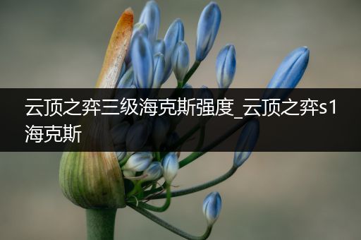 云顶之弈三级海克斯强度_云顶之弈s1海克斯