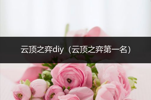 云顶之弈diy（云顶之弈第一名）