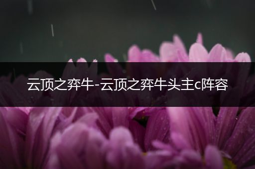 云顶之弈牛-云顶之弈牛头主c阵容