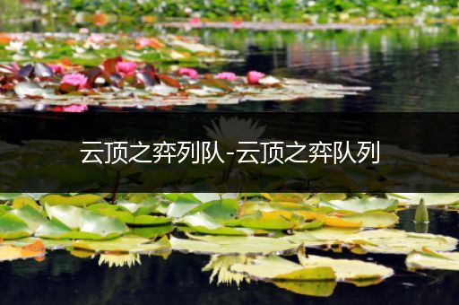云顶之弈列队-云顶之弈队列