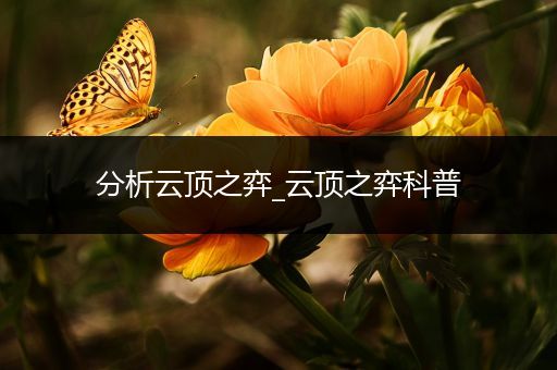 分析云顶之弈_云顶之弈科普