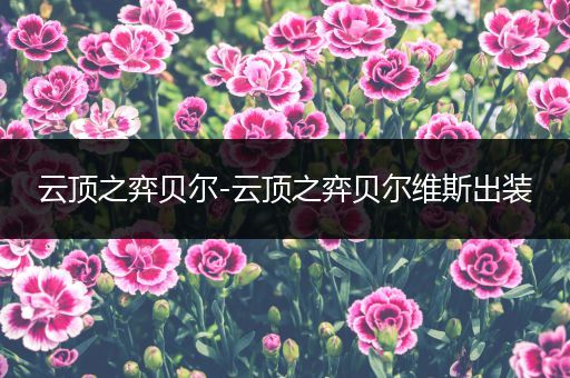 云顶之弈贝尔-云顶之弈贝尔维斯出装