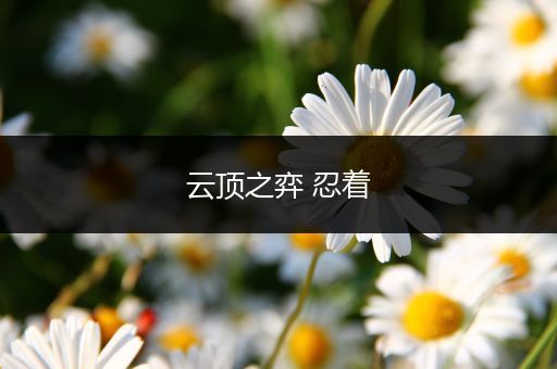 云顶之弈 忍着