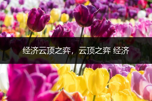 经济云顶之弈，云顶之弈 经济
