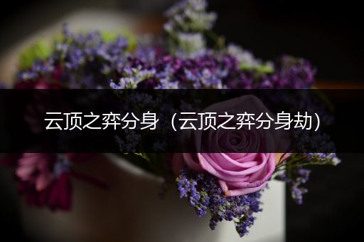 云顶之弈分身（云顶之弈分身劫）