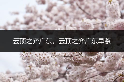 云顶之弈广东，云顶之弈广东早茶