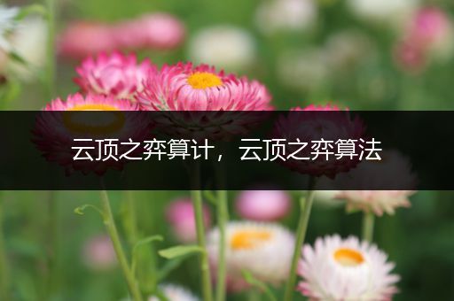云顶之弈算计，云顶之弈算法